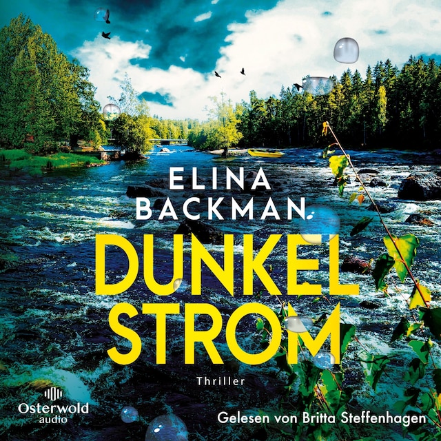 Book cover for Dunkelstrom (Die Saana-Havas-Reihe 2)