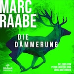 Die Dämmerung (Art Mayer-Serie 2)