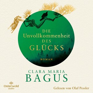 Die Unvollkommenheit des Glücks als Hörbuch