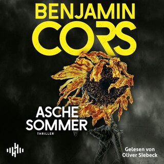 Aschesommer (Gruppe 4 ermittelt 2) als Hörbuch