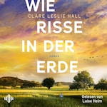 Wie Risse in der Erde