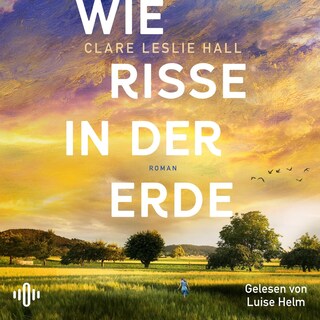 Wie Risse in der Erde als Hörbuch