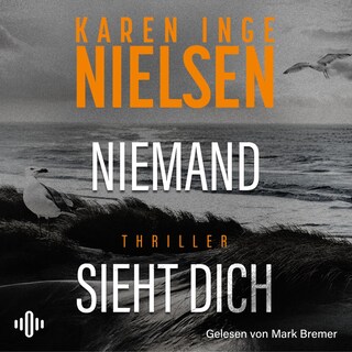 Niemand sieht dich (Grenzland 2) als Hörbuch