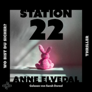 Station 22. Wo bist du sicher? als Hörbuch