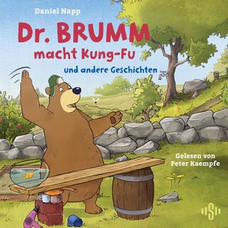 Dr. Brumm macht Kung-Fu (Dr. Brumm) als Hörbuch