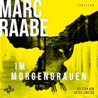Im Morgengrauen (Art Mayer-Serie 4)