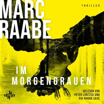 Cover von Im Morgengrauen (Art Mayer-Serie 4)