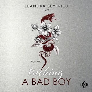 Tricking A Bad Boy als Hörbuch
