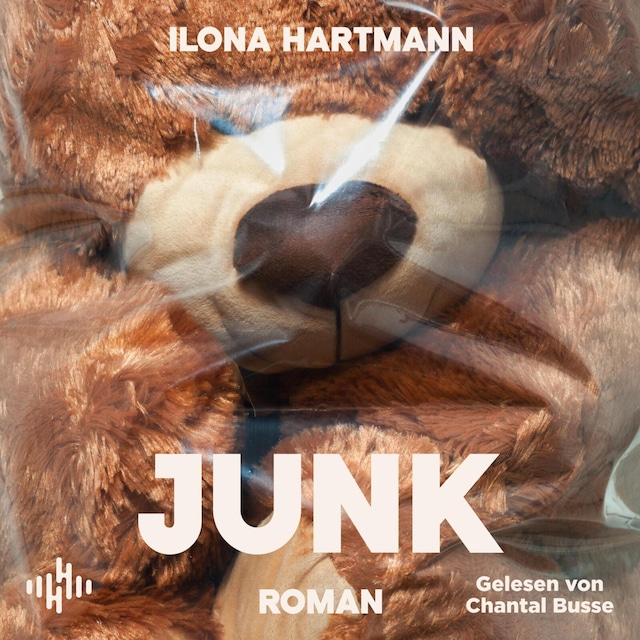 Buchcover für Junk