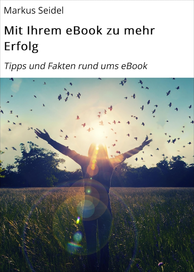 Boekomslag van Mit Ihrem eBook zu mehr Erfolg