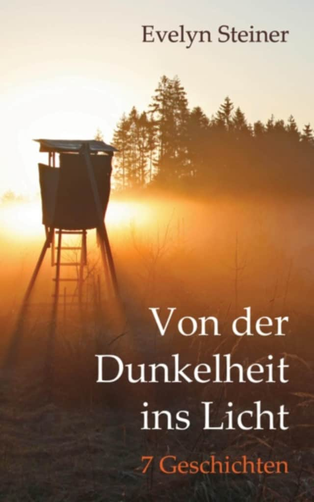 Couverture de livre pour Von der Dunkelheit ins Licht