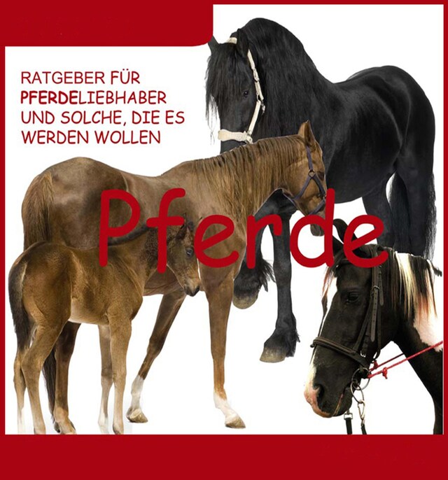 Book cover for Wissenswertes über Pferde