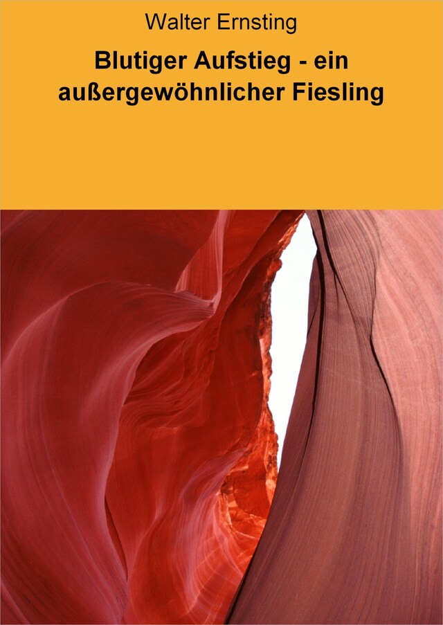 Portada de libro para Blutiger Aufstieg - ein außergewöhnlicher Fiesling