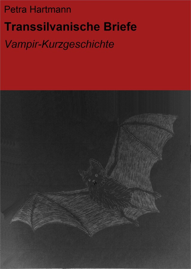 Book cover for Transsilvanische Briefe