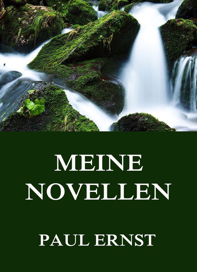 Book cover for Meine Novellen