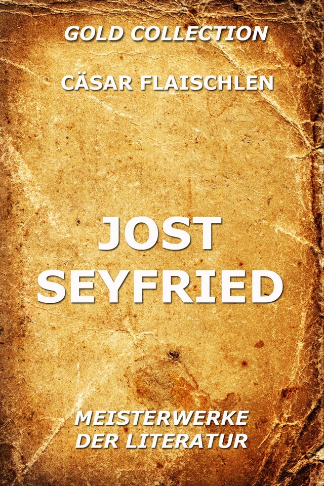 Buchcover für Jost Seyfried