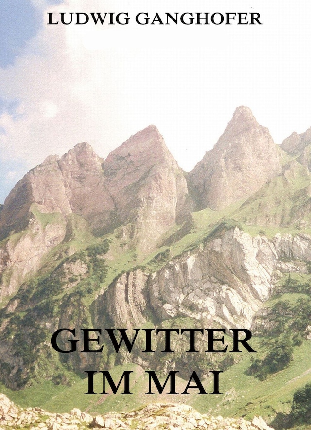 Book cover for Gewitter im Mai