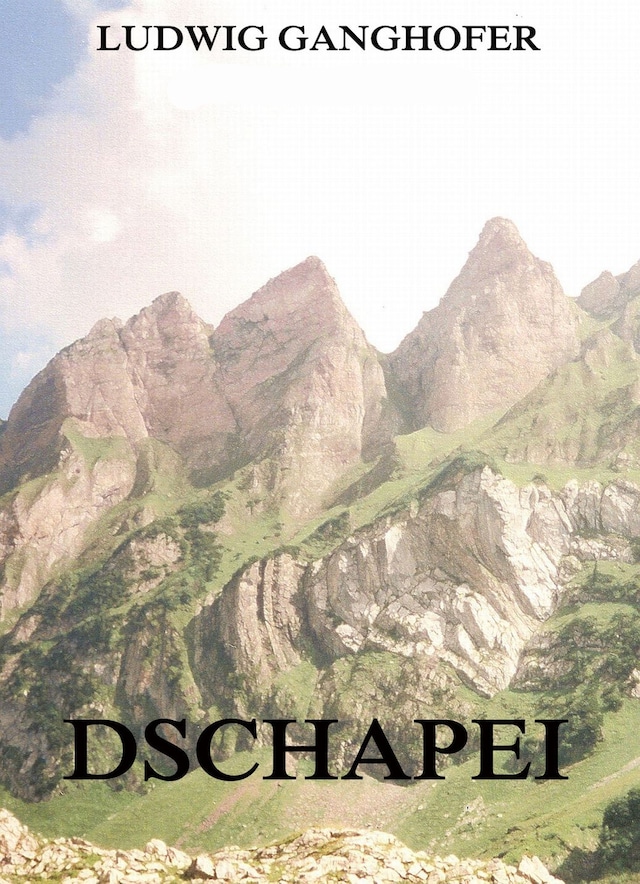 Buchcover für Dschapei