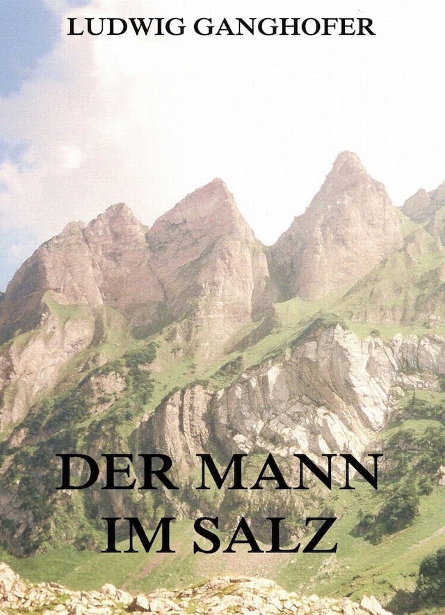 Copertina del libro per Der Mann im Salz