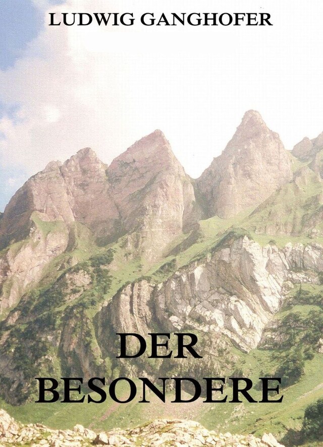 Book cover for Der Besondere