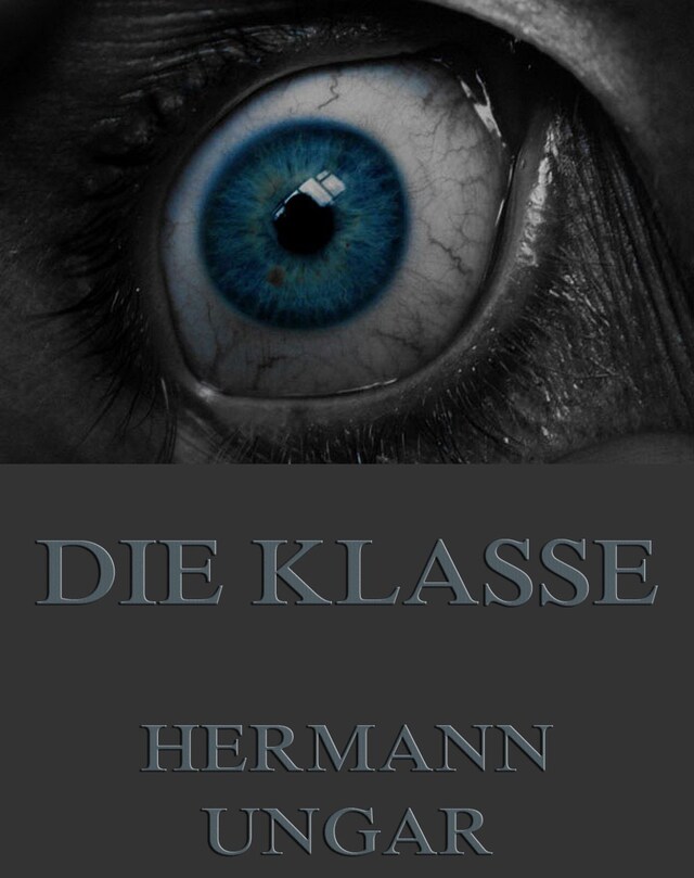 Buchcover für Die Klasse