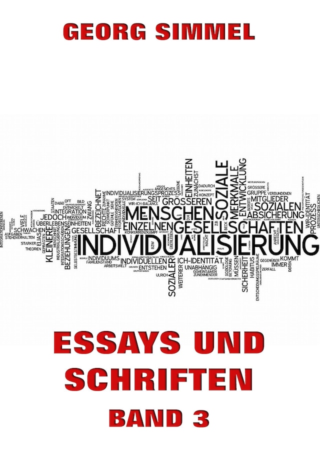 Book cover for Essays und Schriften, Band 3