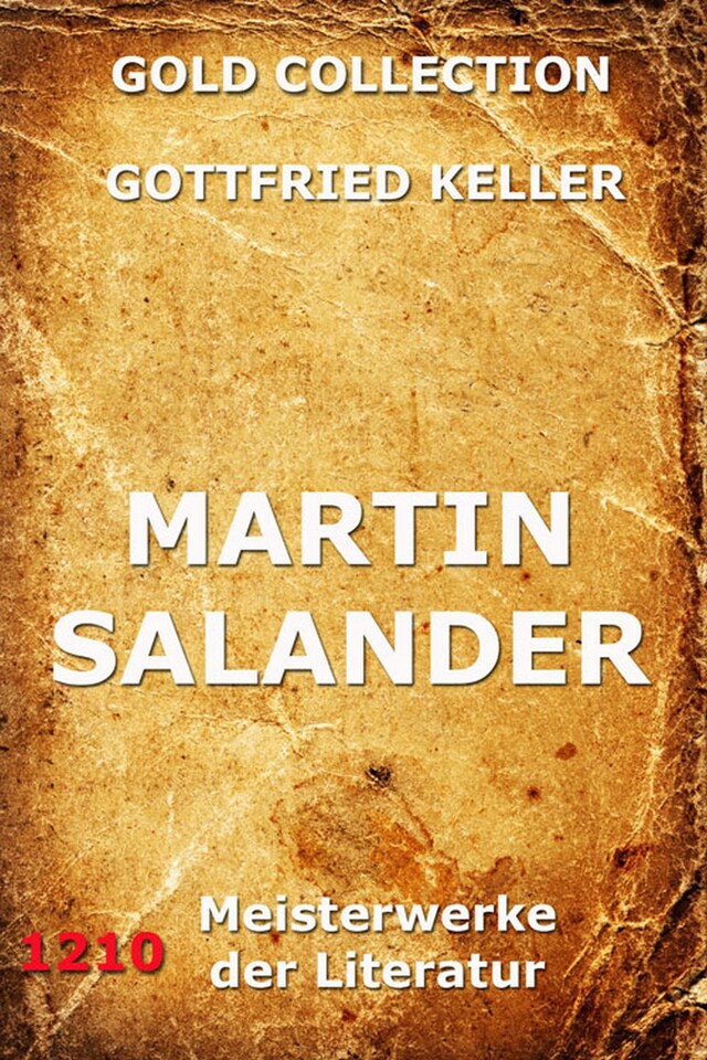 Buchcover für Martin Salander