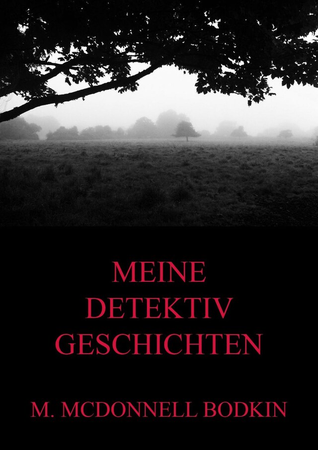 Copertina del libro per Meine Detektivgeschichten