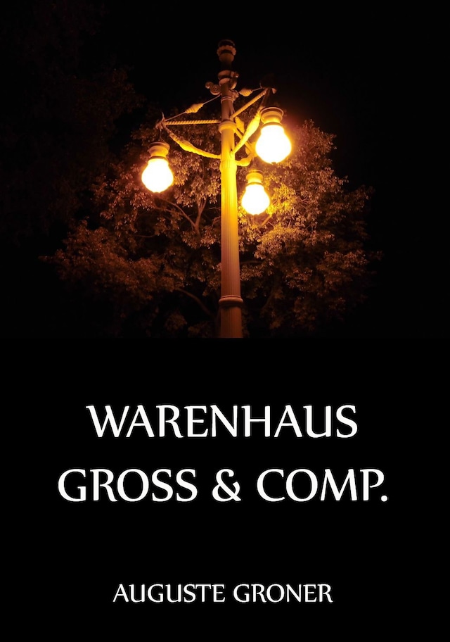 Buchcover für Warenhaus Groß & Comp.