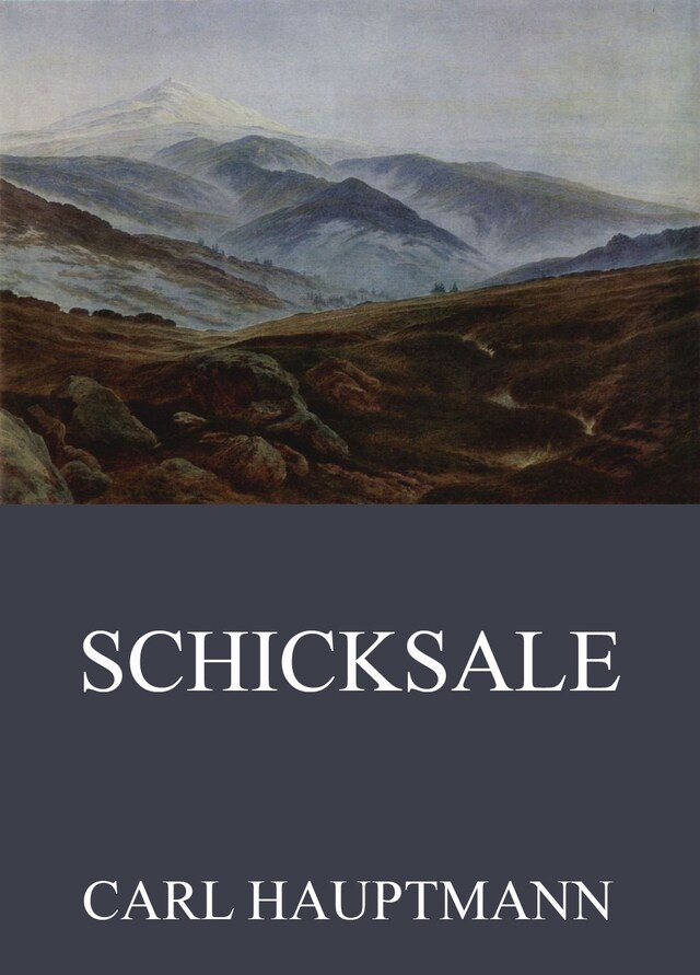 Couverture de livre pour Schicksale