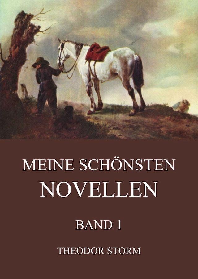 Portada de libro para Meine schönsten Novellen, Band 1