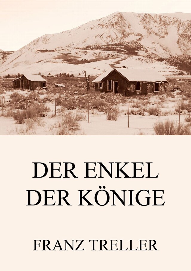 Book cover for Der Enkel der Könige