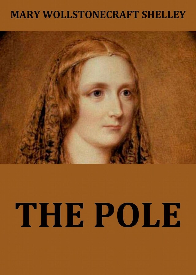 Book cover for The Pole