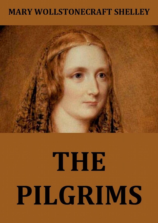 Book cover for The Pilgrims