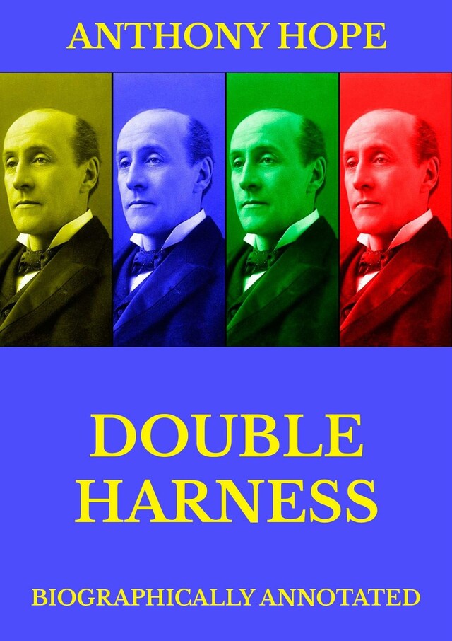 Buchcover für Double Harness