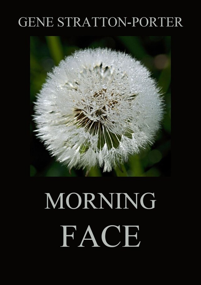 Book cover for Morning Face