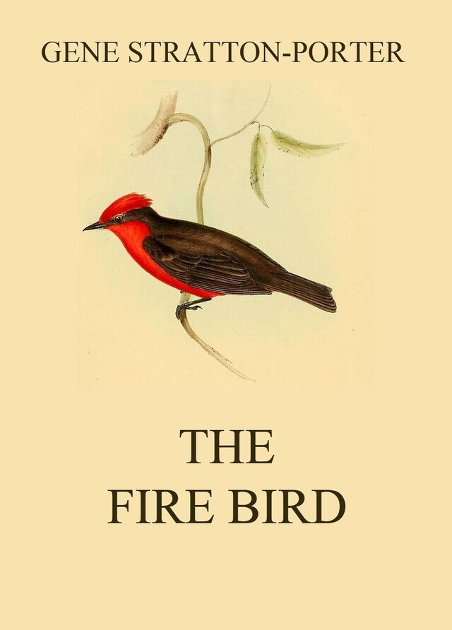 Book cover for The Fire Bird