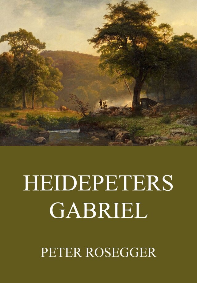 Buchcover für Heidepeters Gabriel