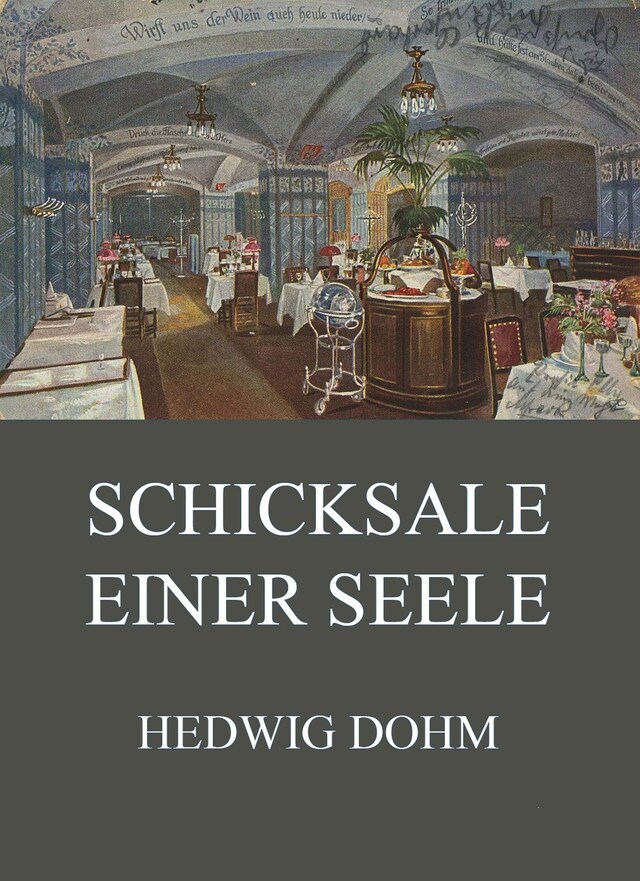 Buchcover für Schicksale einer Seele