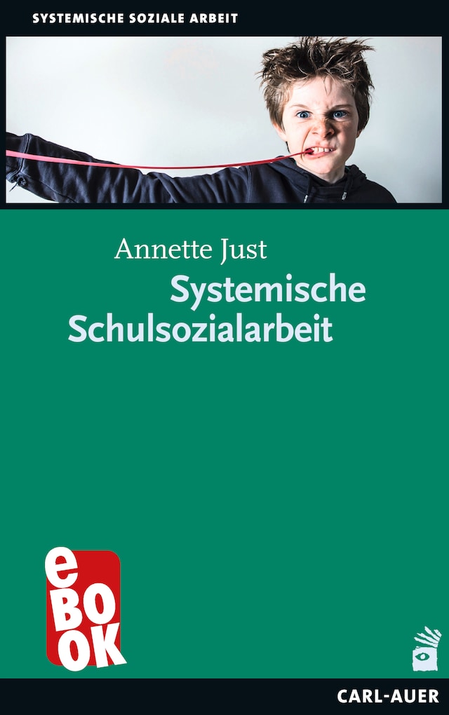 Buchcover für Systemische Schulsozialarbeit