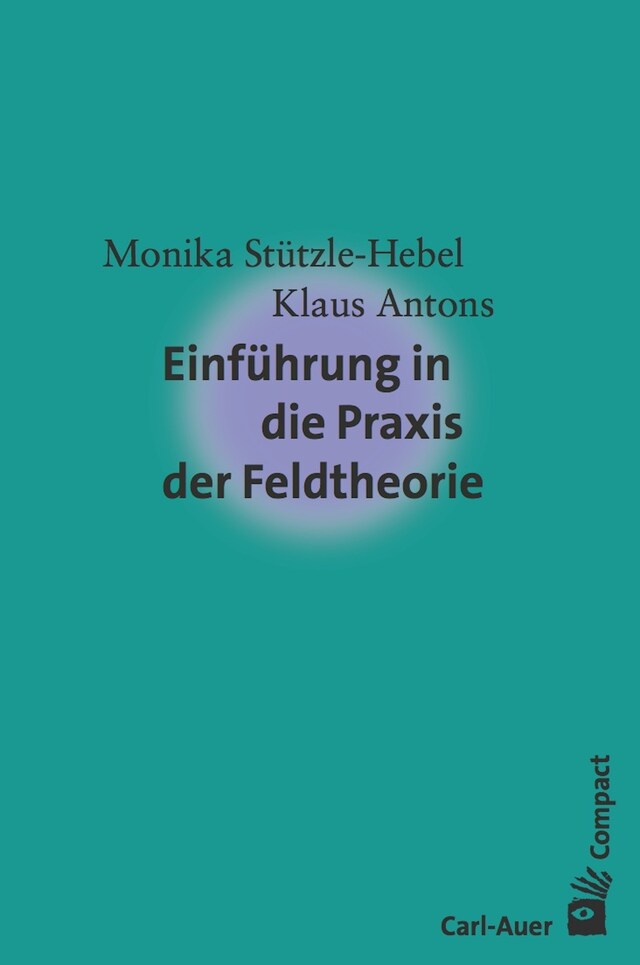 Buchcover für Einführung in die Praxis der Feldtheorie