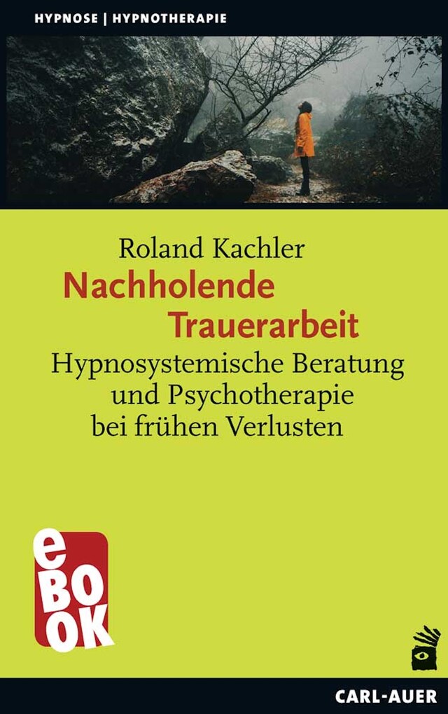 Book cover for Nachholende Trauerarbeit