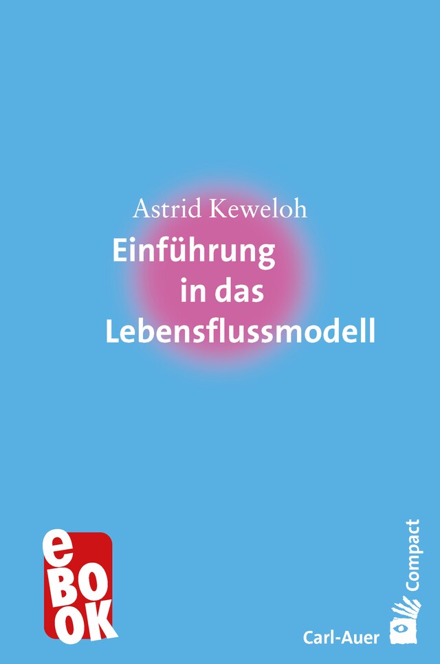 Buchcover für Einführung in das Lebensflussmodell