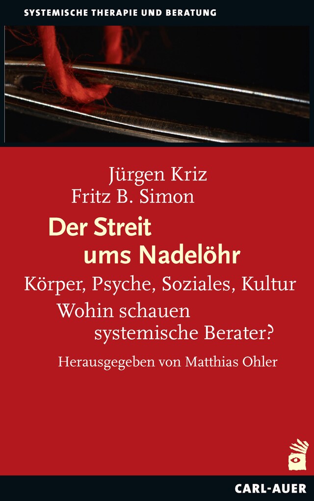 Book cover for Der Streit ums Nadelöhr