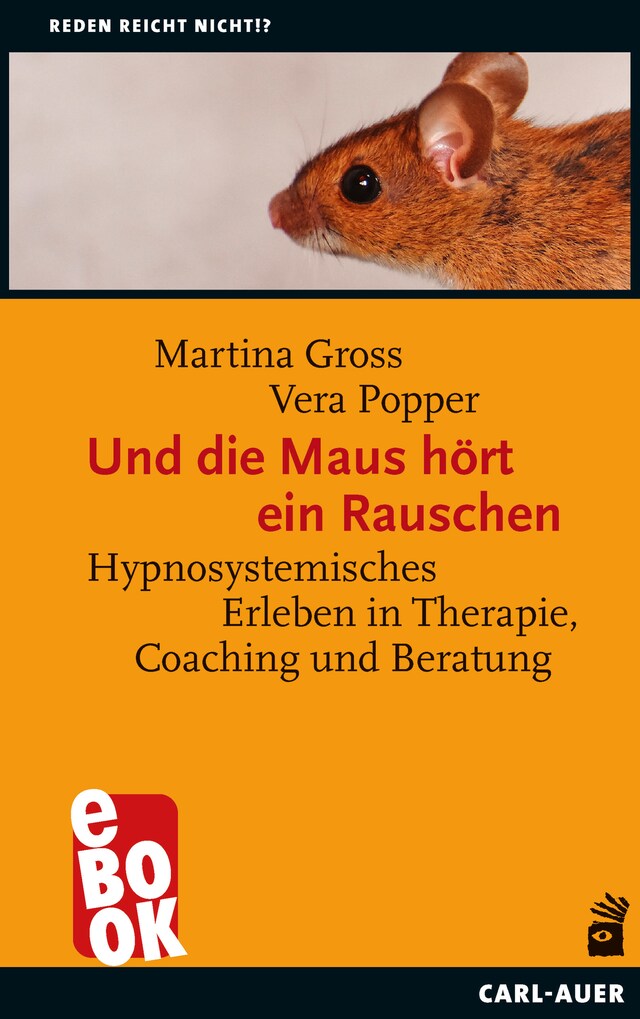 Copertina del libro per Und die Maus hört ein Rauschen