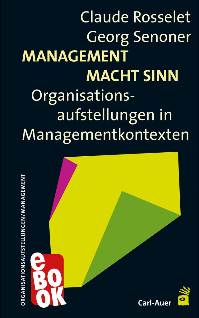 Portada de libro para Management Macht Sinn