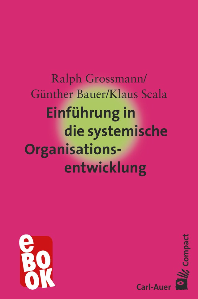 Buchcover für Einführung in die systemische Organisationsentwicklung