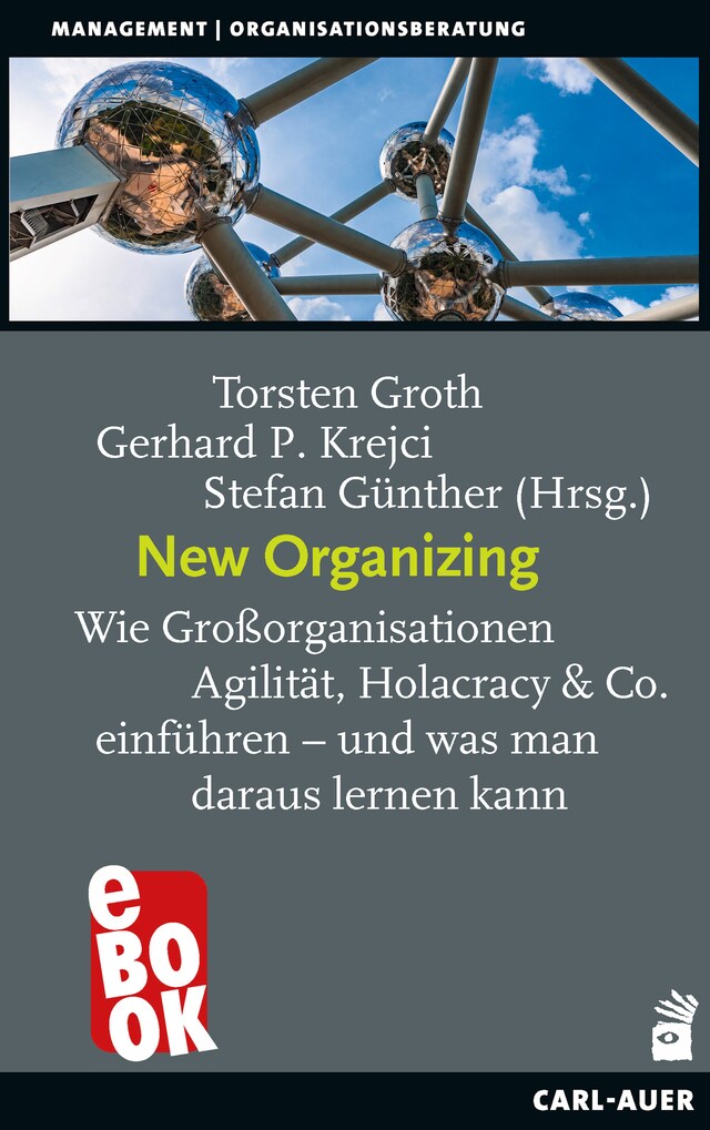 Copertina del libro per New Organizing