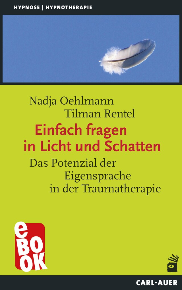 Buchcover für Einfach fragen in Licht und Schatten