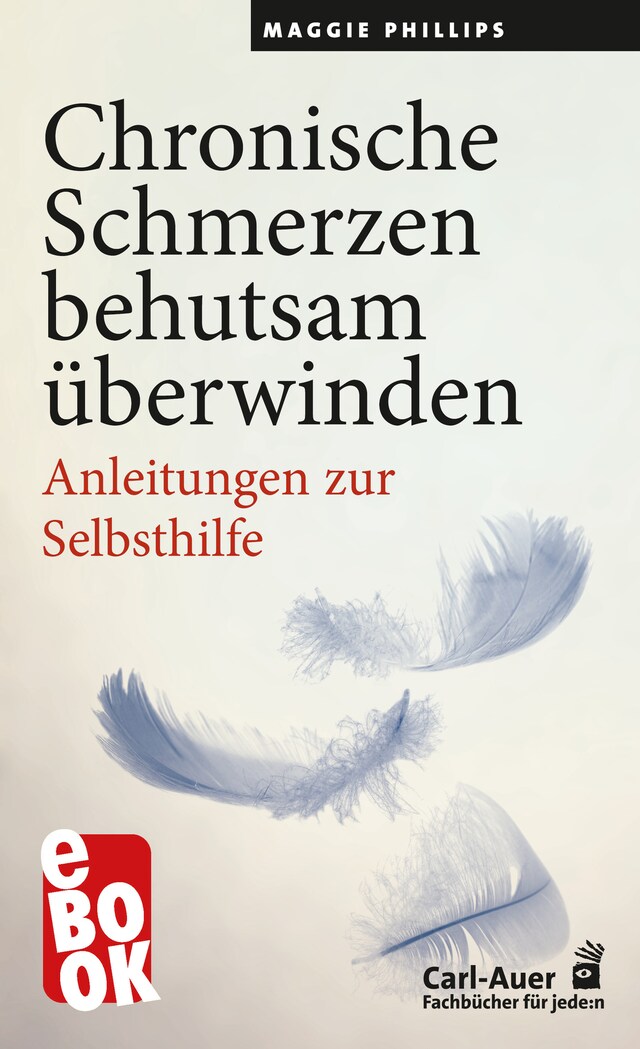 Book cover for Chronische Schmerzen behutsam überwinden